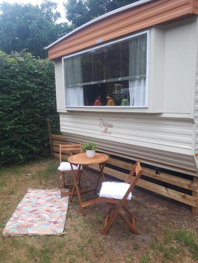 Caravan in bosrijk gebied Hotel Zuidlaren Buitenkant foto